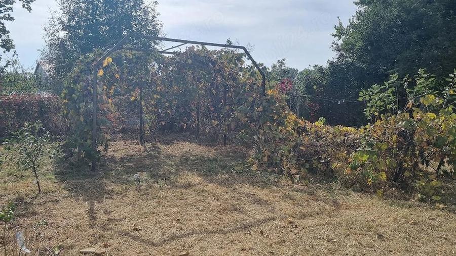 Casă cu 3 camere cu Teren 2000 Mp în Central