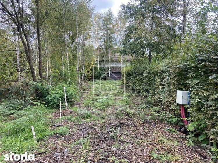 Teren intravilan 520 mp Valea Avrigului ideal cabana A-frame - 4