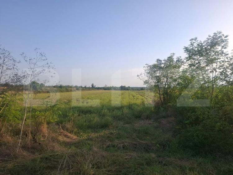 Teren Construcții extravilan de 5000 mp, în Viișoara