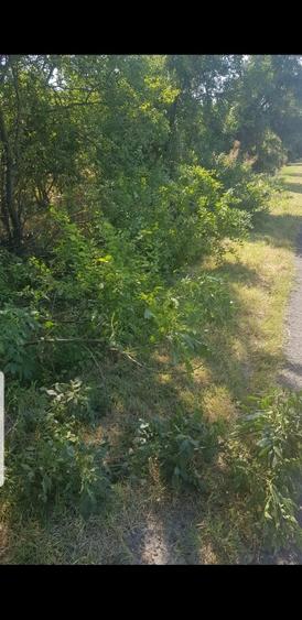 Teren Construcții intravilan de 4998 mp, în Gorgota