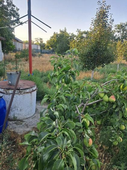 Casă cu Teren 1700 Mp în Plopu