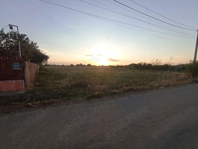 Teren de 2500 mp, în Copaciu