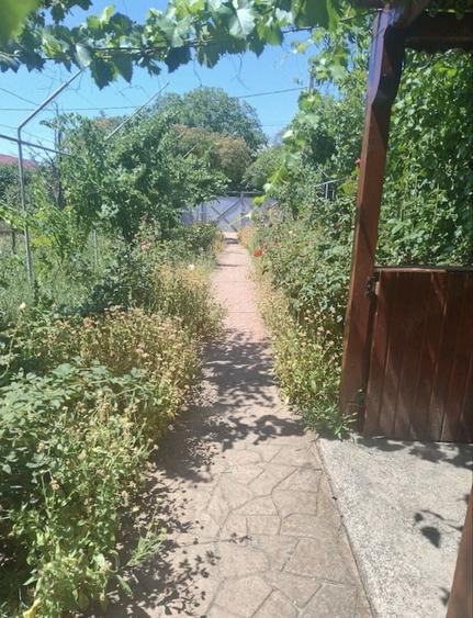 Teren de 580 mp, în Vânători