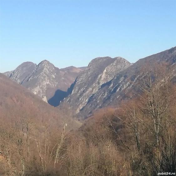 Teren de 30000 mp, în Cornereva