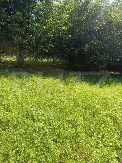 Casă de vânzare cu anexe, 174 mp, 22 ari teren, Grigoresti - 15
