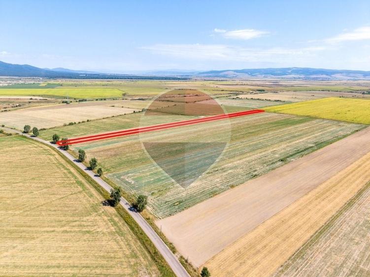 Teren agricol extravilan de 20000 mp, în Hălchiu