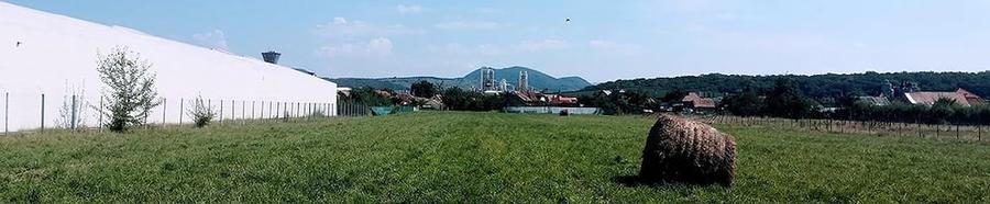 Teren de 12000 mp, în Ierbuș