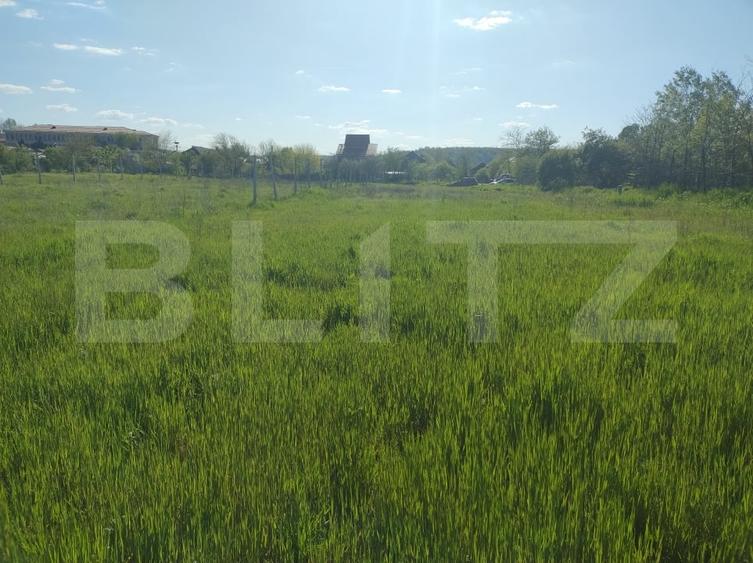 Teren Construcții intravilan de 2194 mp, în Mofleni