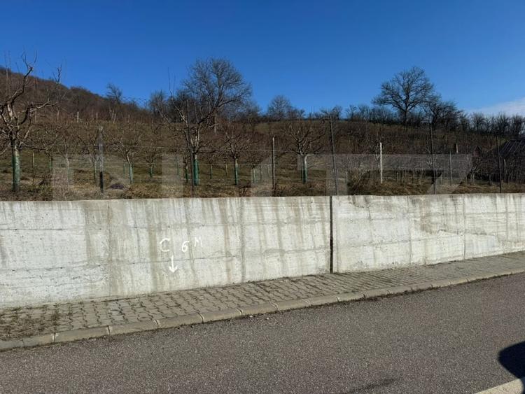 Teren Construcții intravilan de 3001 mp, în Nord-Vest