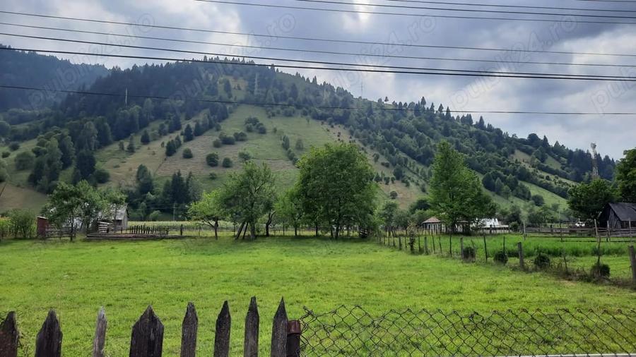 Teren de 1015 mp, în Săvinești