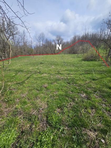 Teren Construcții intravilan de 2640 mp, în Prăjani