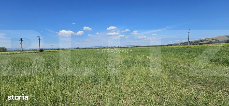 Teren agricol, 7 hectare, zona Ozun