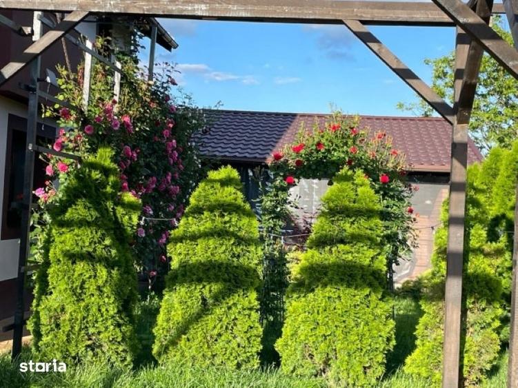 Casa, 5 camere, constructie 2022, teren 1000mp, Mehedinta, 220.000euro - 6