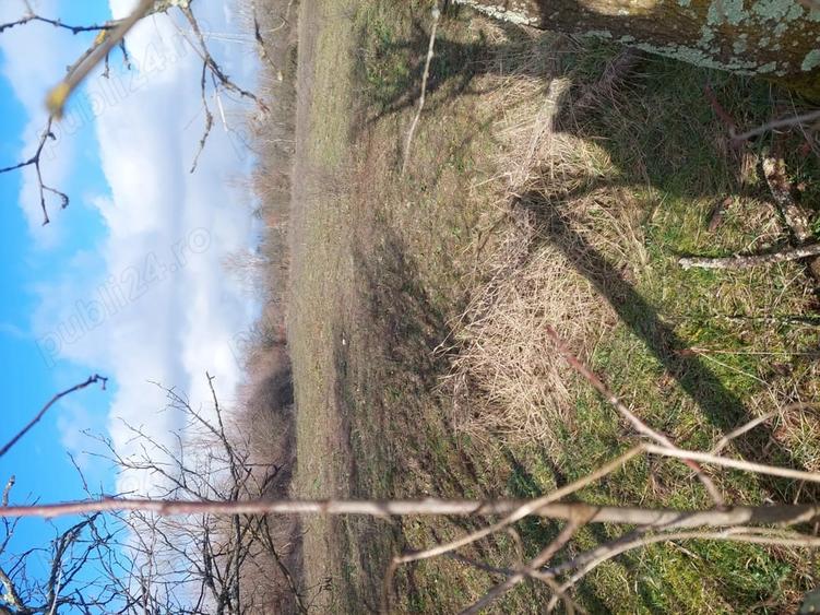 Teren de 2900 mp, în Fârliug
