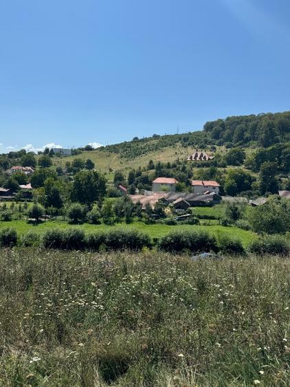 Teren Construcții extravilan de 860 mp, în Simeria