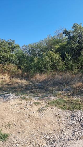 Teren intravilan de 2592 mp, în Budești
