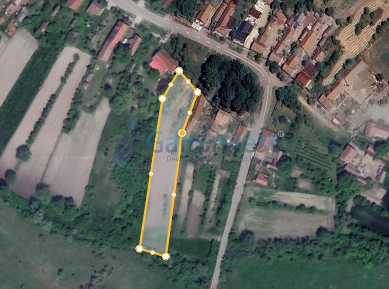 Teren Construcții intravilan de 2456 mp, în Niuved