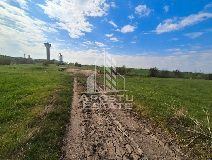 Teren Construcții intravilan de 10900 mp, în Sud