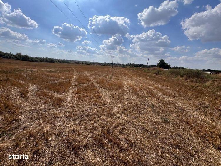 Teren de 28500 mp, în Central