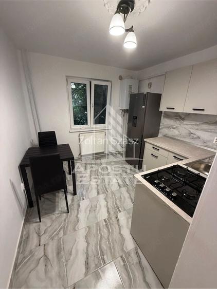 Apartament 1 camera, renovat, centrala proprie, Timisoara, Buziasului