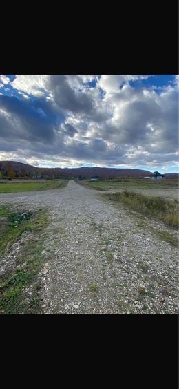 Teren de 2500 mp, în Horodnic