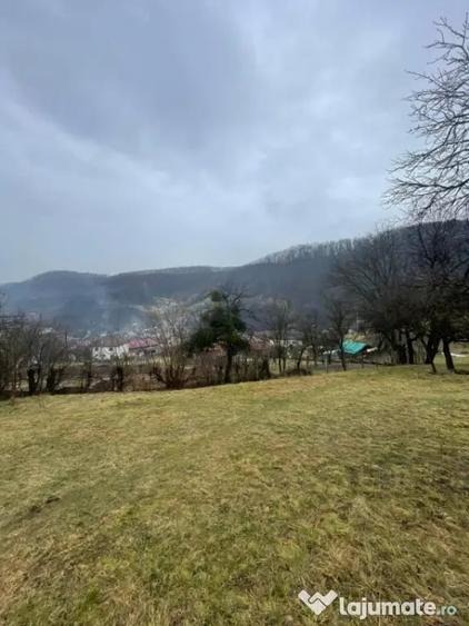 Casă cu 2 camere cu Teren 6000 Mp în Tăuții-Măgherăuș