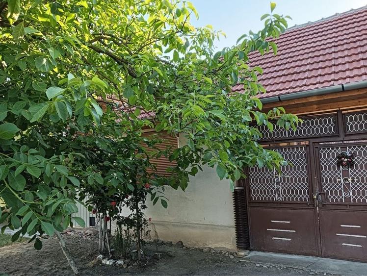 Casă cu 4 camere în Berindia