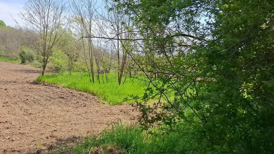 Casă cu 4 camere cu Teren 3850 Mp în Olanu
