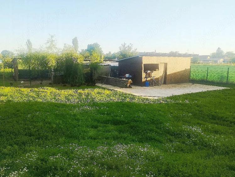 Teren de 2000 mp, în Curtișoara