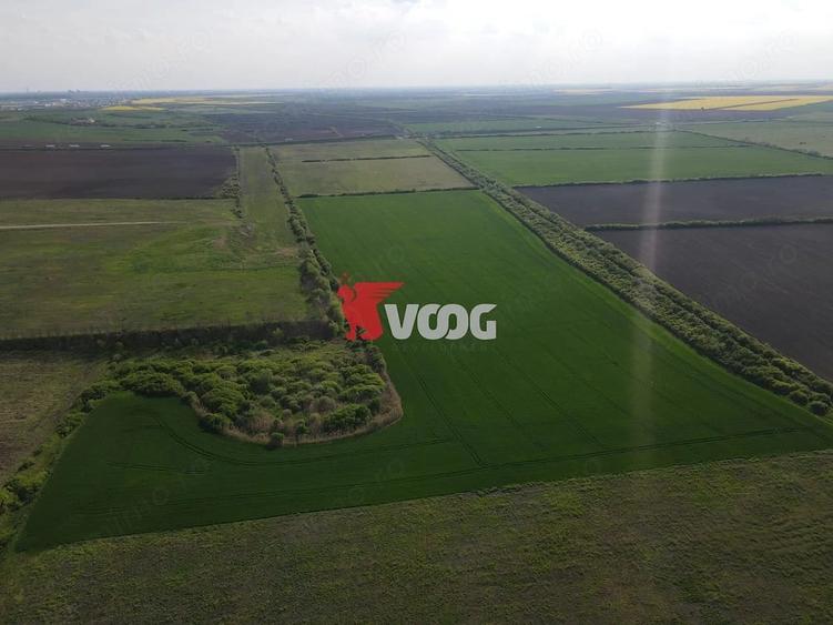 Teren extravilan 10 ha -Giarmata, langa nodul de autostrada - 2