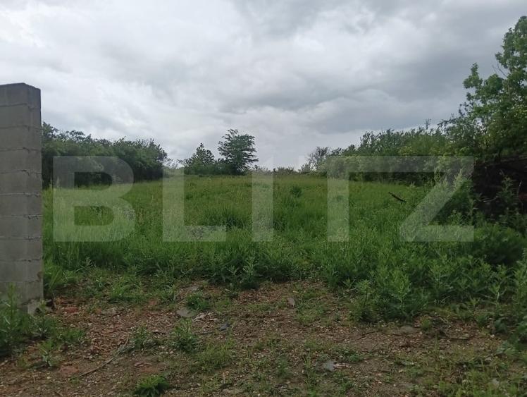 Teren Construcții intravilan de 750 mp, în Lugoj