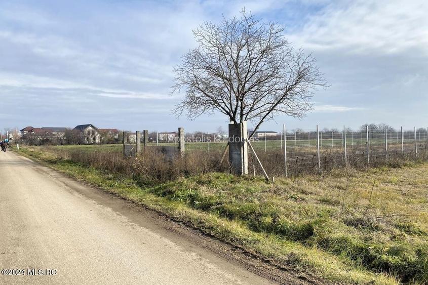 Afumati - Str. Iasomiei, 2409 MP, stradal, intravilan, deschidere 12 m