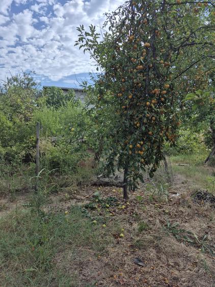 Casă cu 3 camere cu Garaj în Domnești