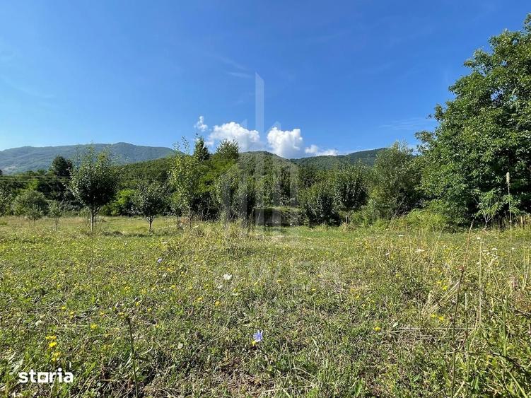 Teren de 650 mp, în Sadu