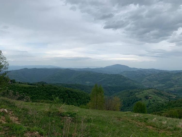 Teren Construcții extravilan de 20340 mp, în Poiana Mărului