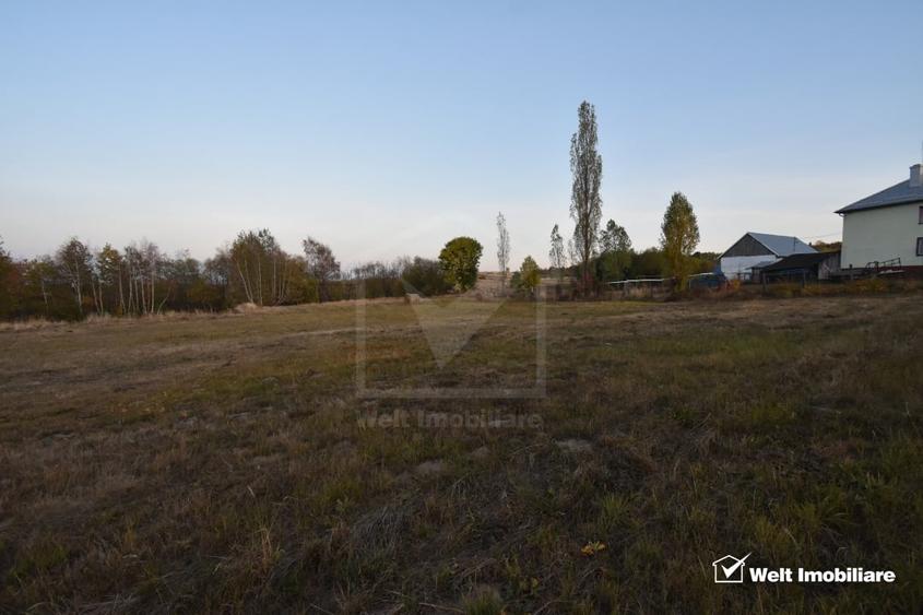 Teren Construcții intravilan de 2540 mp, în Dângău Mare