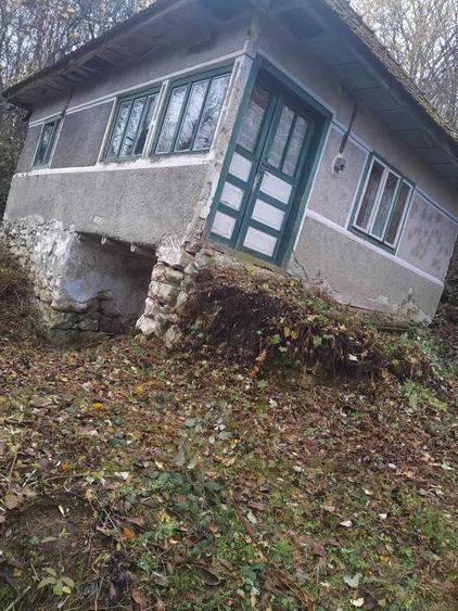 Casă cu 2 camere în Plai