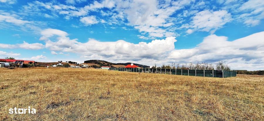 Teren de 1270 mp, în Sânpetru