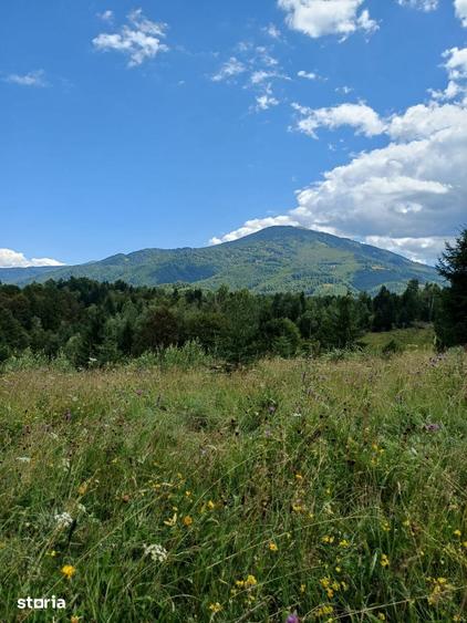 Teren de 15000 mp, în Uric