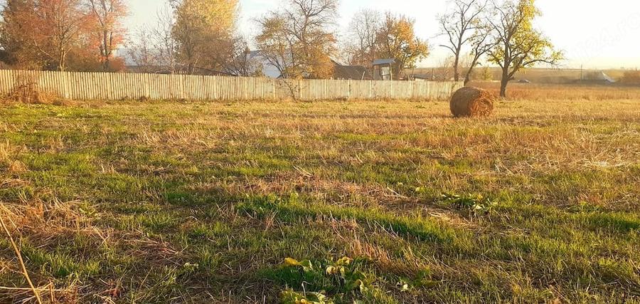 Teren de 2950 mp, în Vârfu Câmpului