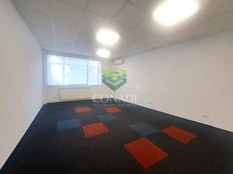 Birou, de 150 mp, în Herăstrău