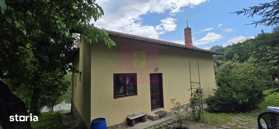 Casă cu 5 camere cu Teren 2200 Mp în Provița de Jos