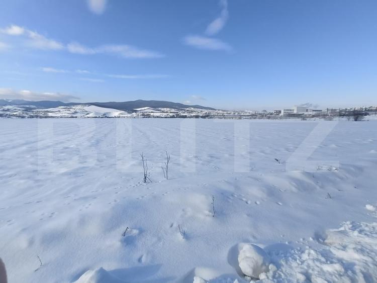 Teren Construcții intravilan de 7000 mp, în Sud