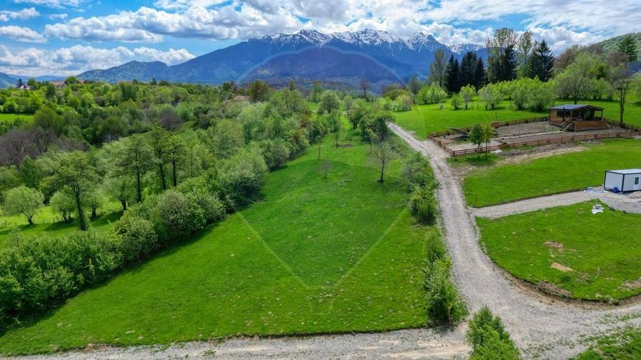 Teren Construcții intravilan de 500 mp, în Tohănița