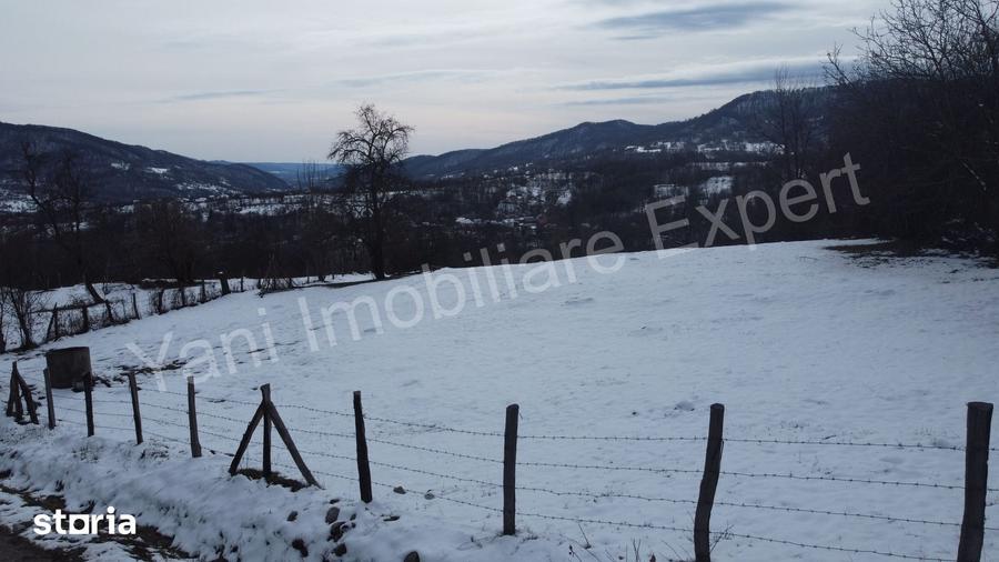 Teren de 4377 mp, în Bradu