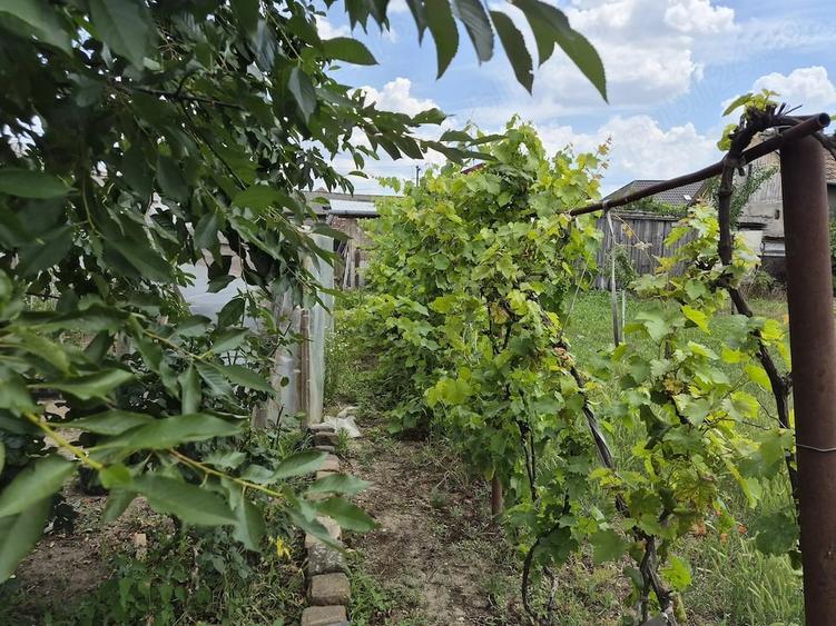 Casă cu 3 camere cu Teren 750 Mp în Vladimirescu