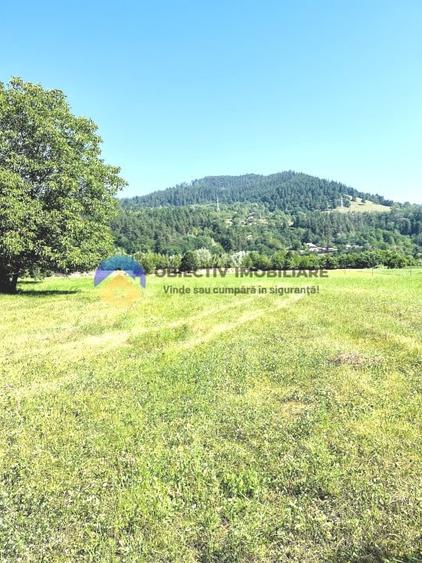 TEREN intravilan 3600 mp  PÂNGǍRAȚI - PRELUCA - 5