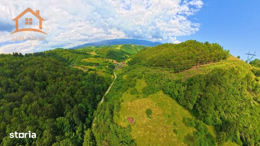 Investitie Smart in Moieciu, 3.1 ha, Panorama 360 Bucegi - Piatra Crai - 16