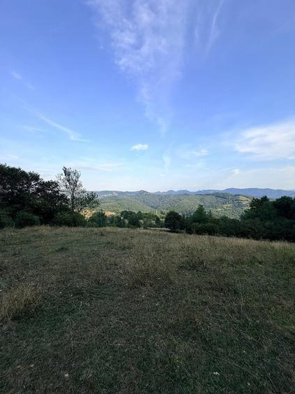 Teren de 3000 mp, în Ciuruleasa