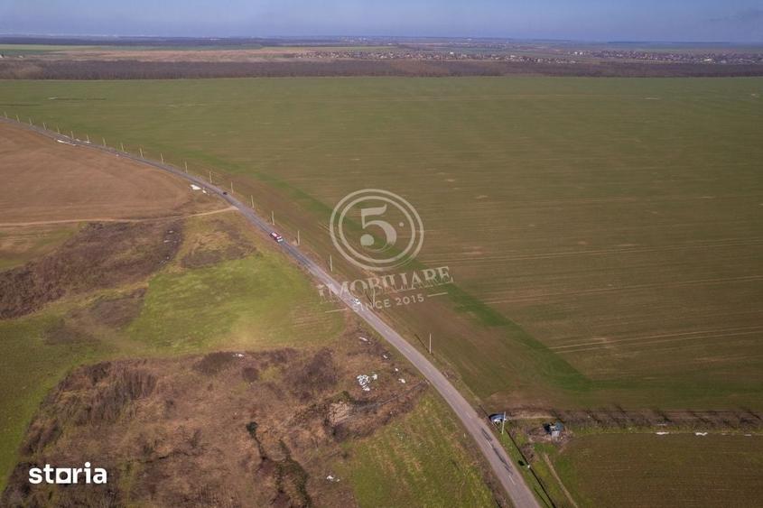 Teren de 80000 mp, în Vasilați